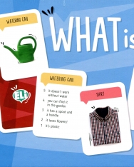 What is it? - Vocabulary and language structures