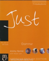 Just Grammar Intermediate / American Edition