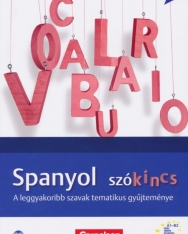 Vocabulario - Spanyol Szókincs - A leggyakoribb szavak tematikus gyűjteménye (MX-592)