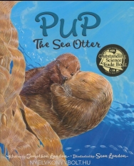 Pup the Sea Otter