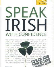 Teach Yourself - Speak Irish with Confidence from Beginner to Level 2 Audio CDs (3)