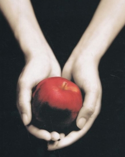 Stephenie Meyer: Fascination  - Twilight Saga 1 francia nyelven