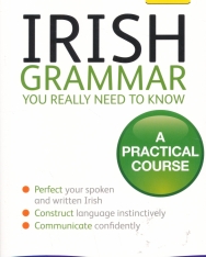 Teach Yourself - Irish Grammar
