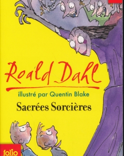 Roald Dahl: Sacrées sorcieres