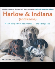 Harlow & Indiana (and Reese)