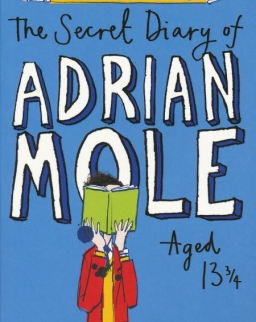 Sue Townsend: The Secret Diary of Adrian Mole Aged 13 3/4