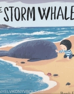 The Storm Whale