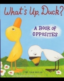 Duck & Goose What's Up, Duck?: A Book of Opposites