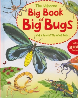 The Usborne Big Book of Big Bugs