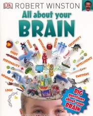All About Your Brain