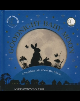 Goodnight Baby Moon: A Bedtime Tale About the Moon