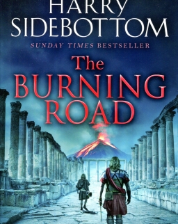 Harry Sidebottom: The Burning Road