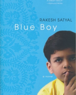 Rakesh Satyal: Blue Boy