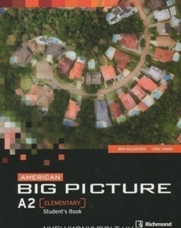 American Big Picture Elementary Student's Book