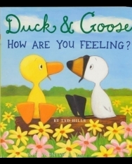 Tad Hills: Duck & Goose, How Are You Feeling?