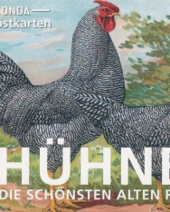 Hühner - 18 Kunstpostkarten