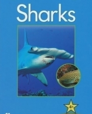 Sharks - Macmillan Factual Readers Level 4