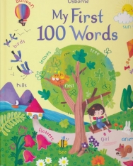 Usborne My First 100 Words