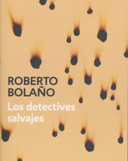 Roberto Bolano: Los detectives salvajes