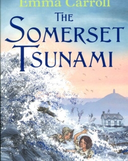 Emma Carroll: The Somerset Tsunami
