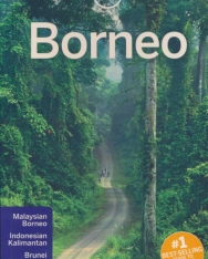 Lonely Planet - Borneo Travel Guide (5th Edition)