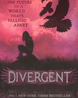 Veronica Roth: Divergent: Book 1