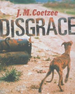 J. M. Coetzee: Disgrace