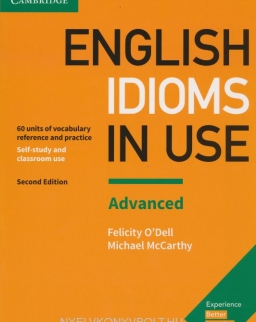 English Idioms in Use Advanced 2nd Edition