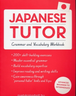 Teach Yourself Japanese Tutor - Grammar and Vocabulary Workbook