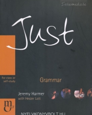 Just Grammar Intermediate