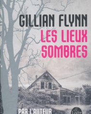 Gillian Flynn: Les lieux sombres