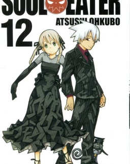 Atsushi Ohkubo: Soul Eater, Vol. 12