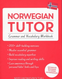 Teach Yourself Norwegian Tutor - Grammar and Vocabulary Workbook