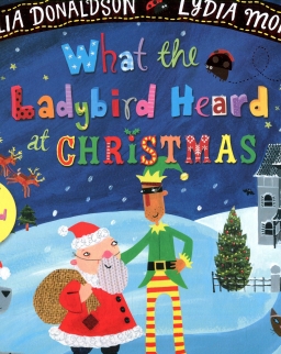 What the Ladybird Heard at Christmas