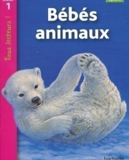 Bébés animaux - Tous lectures! niveau 1