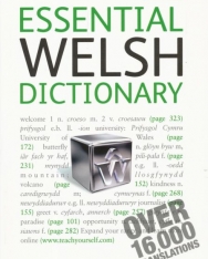 Teach Yourself - Essential Welsh Dictionary