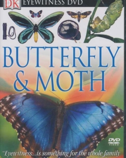 Eyewitness DVD - Butterfly & Moth