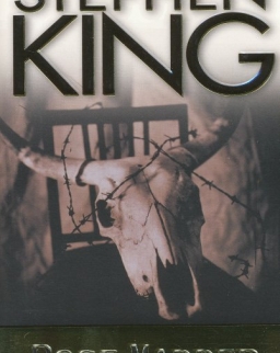 Stephen King: Rose Madder