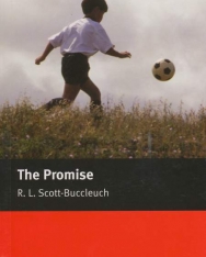 The Promise - Macmillan Readers Level 3