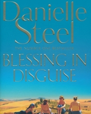 Danielle Steel: Blessing In Disguise