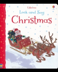 Felicity Brooks: Christmas (Look and Say)