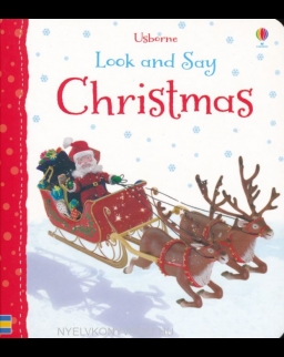Felicity Brooks: Christmas (Look and Say)