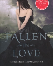 Lauren Kate: Fallen in Love