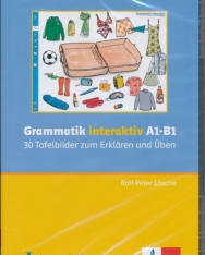 Grammatik interaktiv A1-B1- 30 Tafelbilder zum Erklären und Üben Cd-Rom