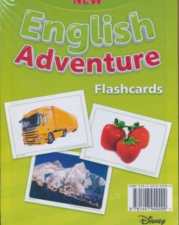 New English Adventure 1 Flashcards