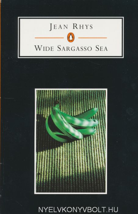 wide sargasso sea jean rhys ebook free